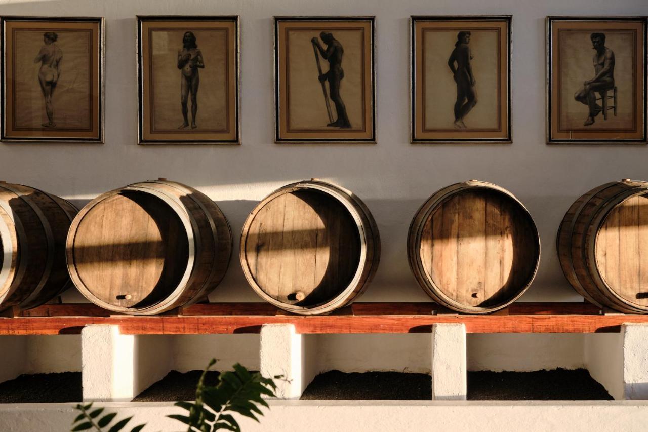 Ecofinca Aulaga Masdache エクステリア 写真