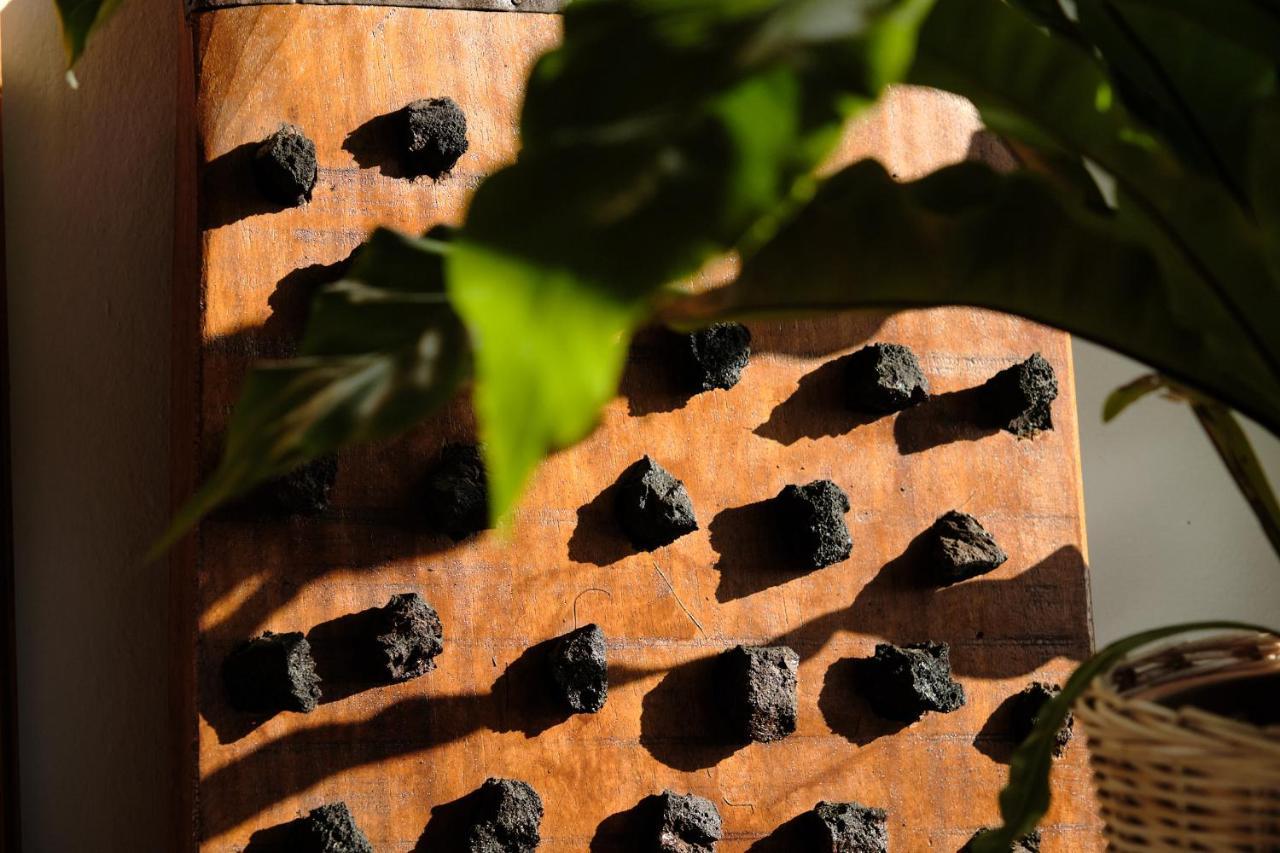 Ecofinca Aulaga Masdache エクステリア 写真